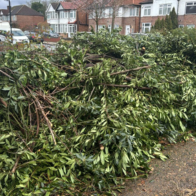 House and Property Clearance​